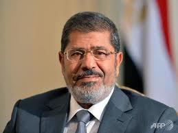 ประธานาธิบดีอียิปต์เรียกร้องจัดการสนทนากับฝ่ายค้าน - ảnh 1